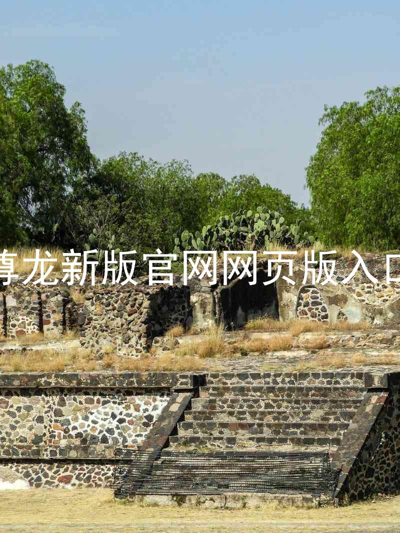 尊龙新版官网网页版入口