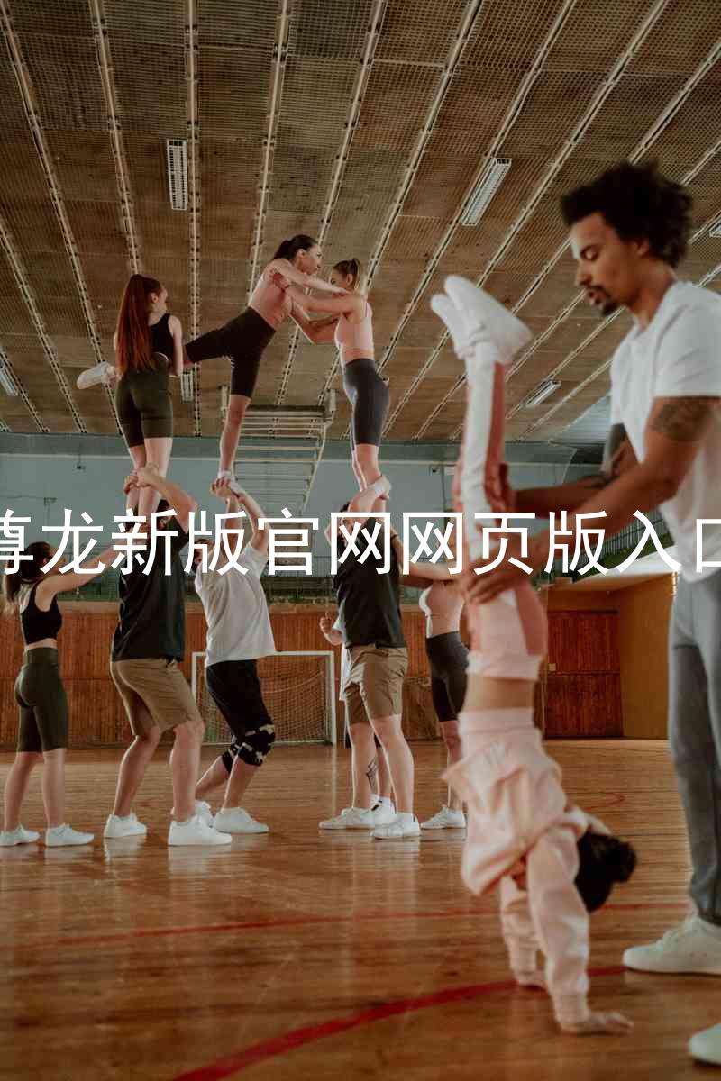 尊龙新版官网网页版入口